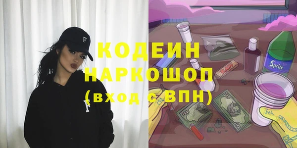 ГАЛЛЮЦИНОГЕННЫЕ ГРИБЫ Корсаков