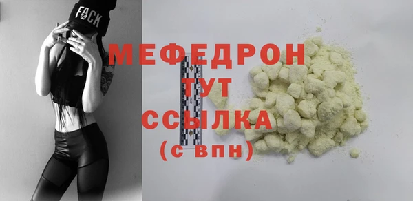 соль ск Ельня