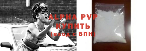 индика Вяземский