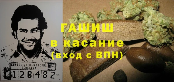 индика Вяземский