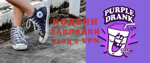 индика Вяземский