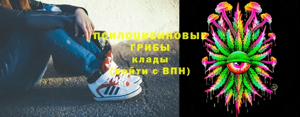 прущий лед Вязьма