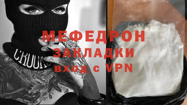 соль ск Ельня