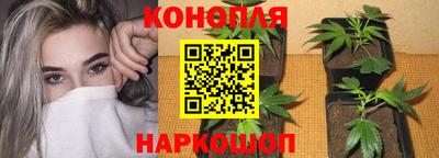 сатива Балашиха