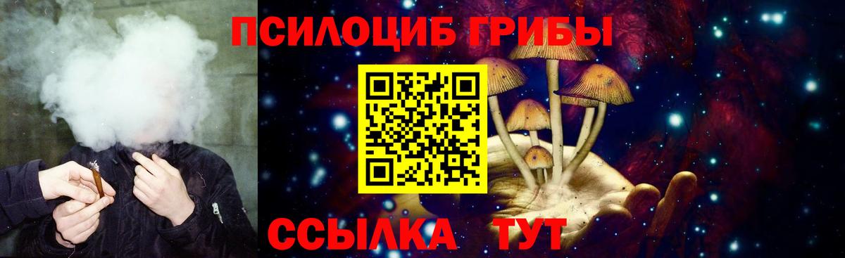 Псилоцибиновые грибы Cubensis Вязьма